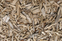 biomass boilers Scald End